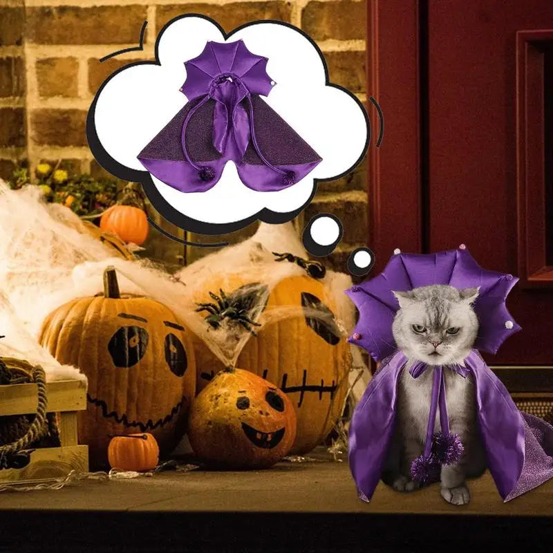 Witch pet Costumes