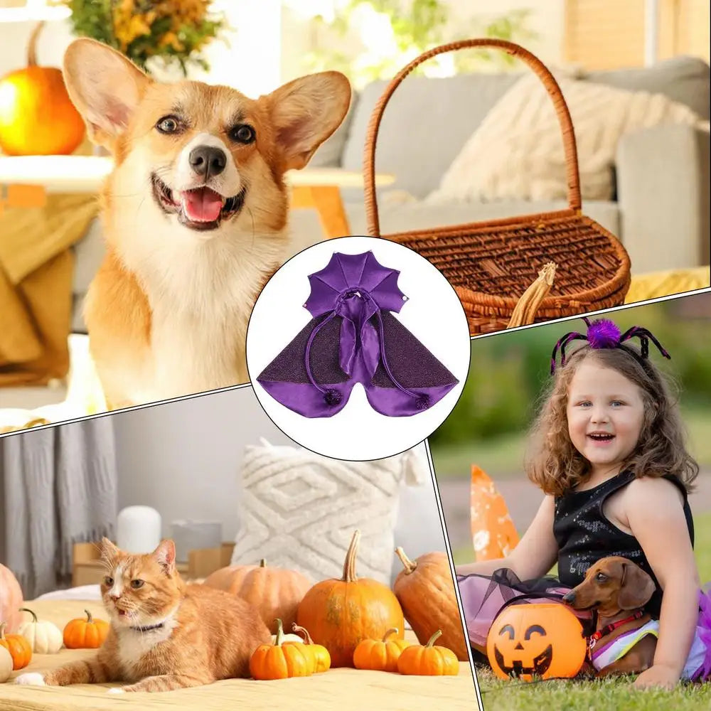 Witch pet Costumes