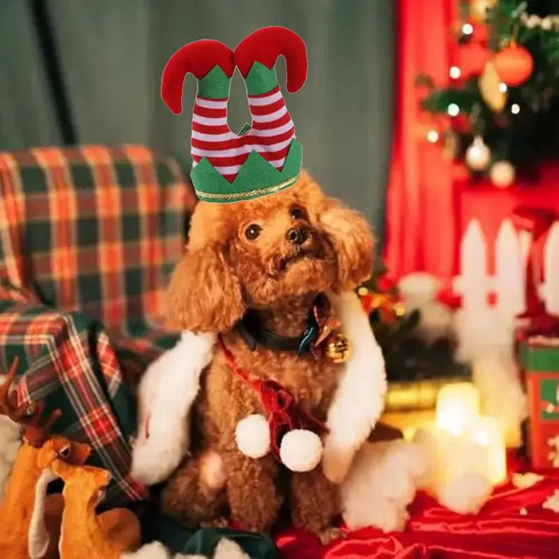 Christmas elf pet Outfit