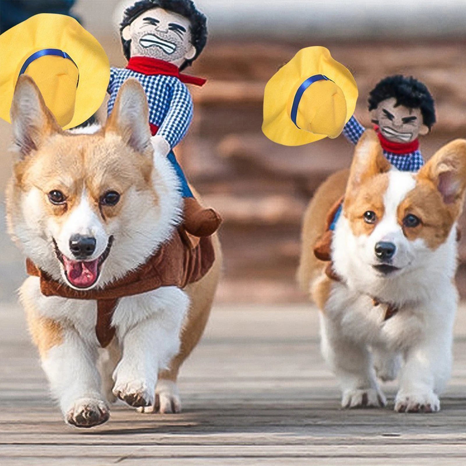 Dog Cowboy pet Outfit