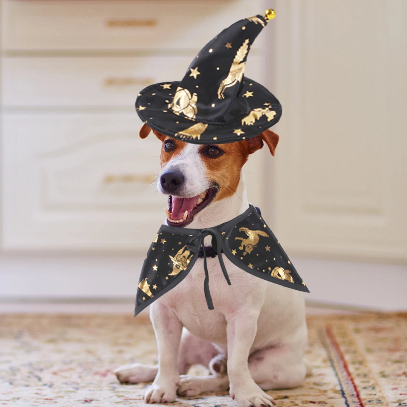 pet Wizard Costume