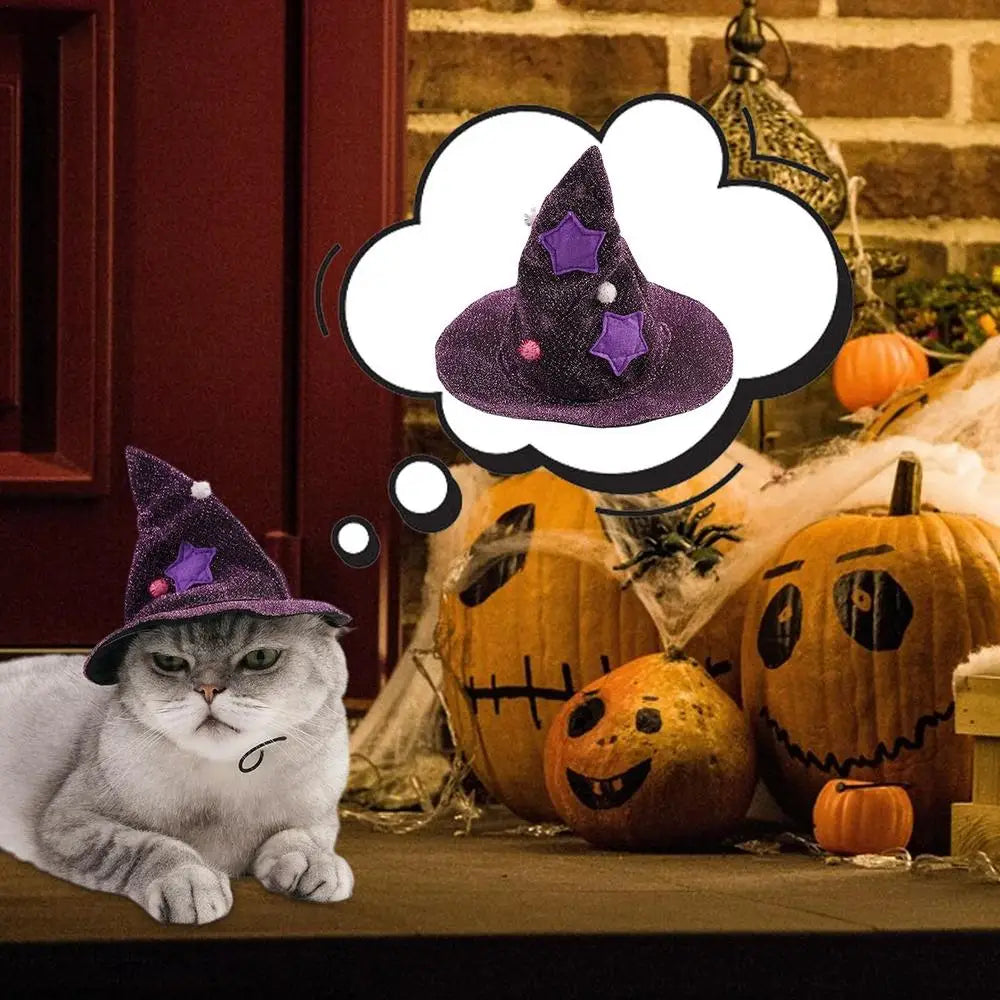 Witch pet Costumes