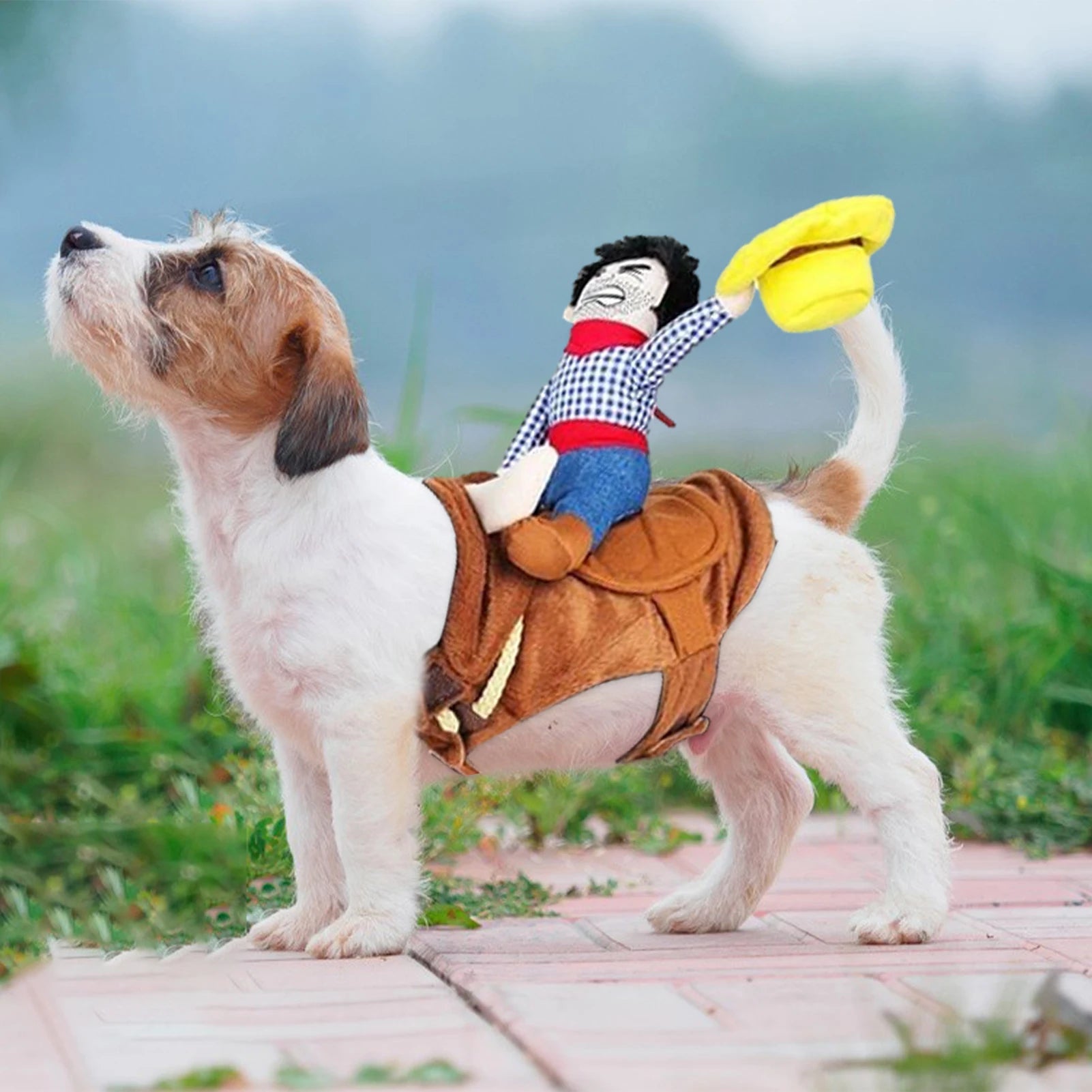 Dog Cowboy pet Outfit