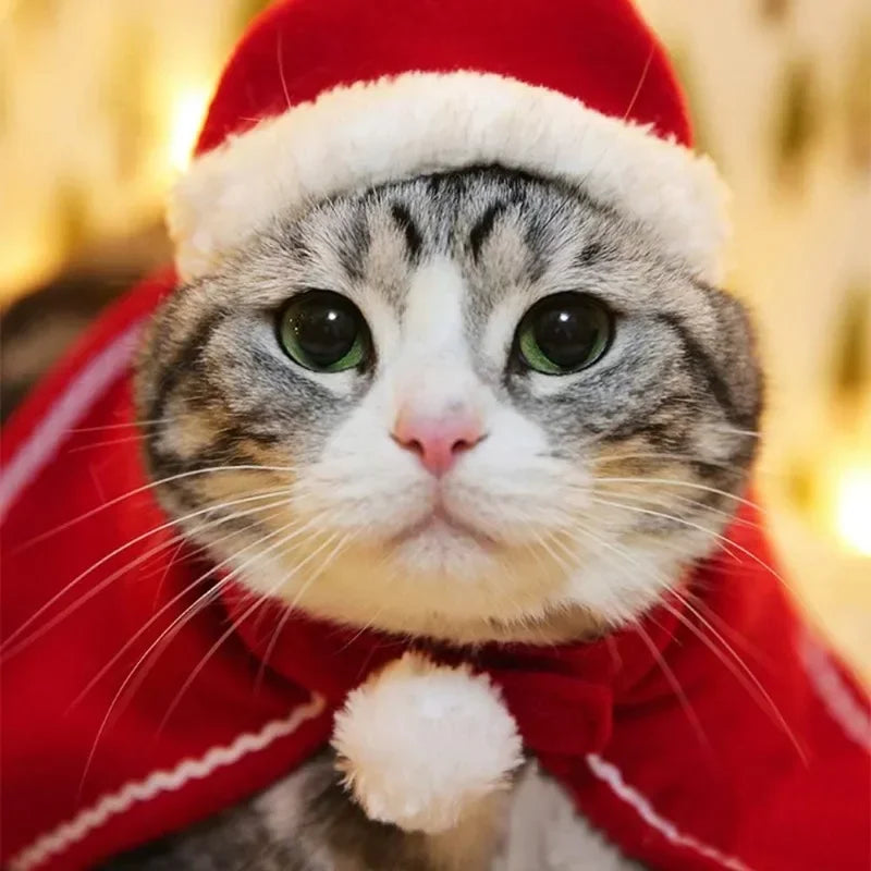 Christmas Pet Cloak