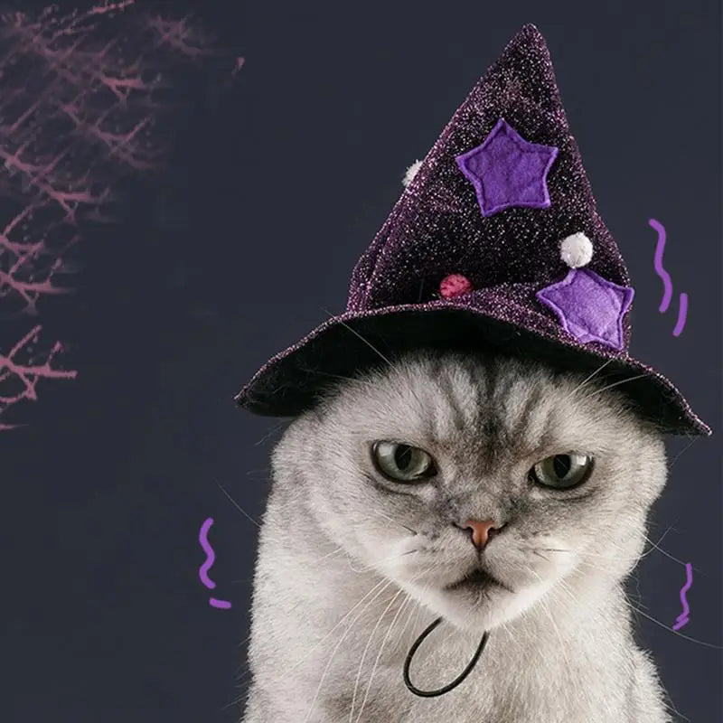 Witch pet Costumes
