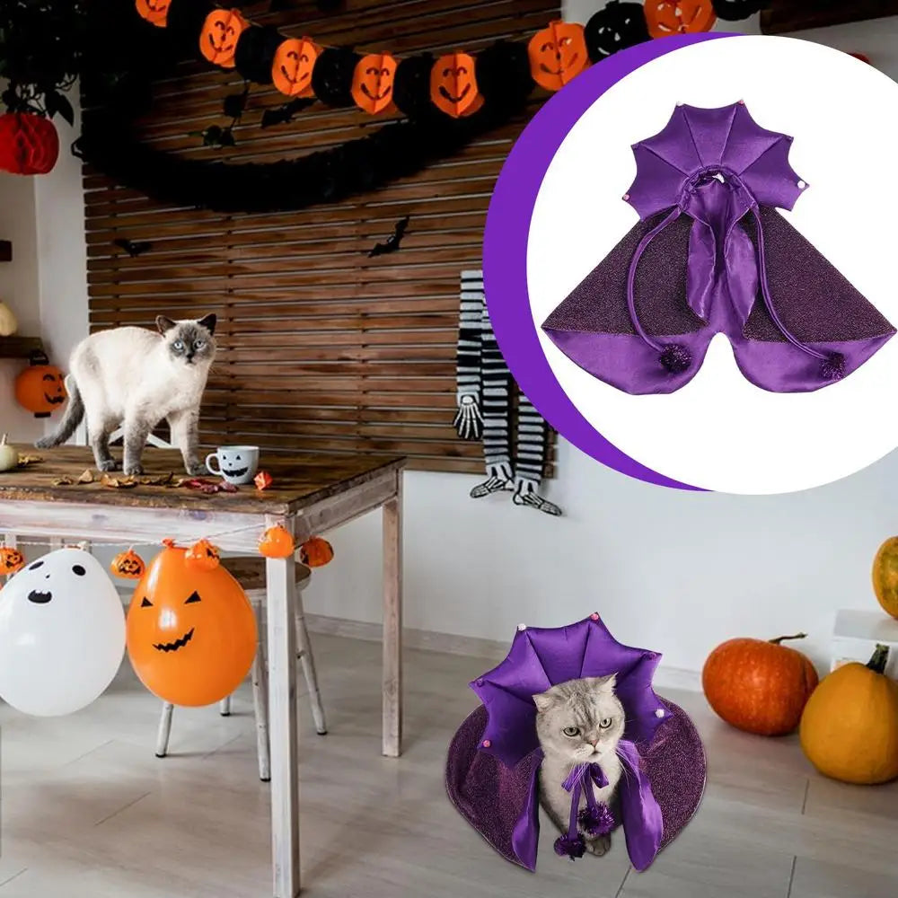 Witch pet Costumes