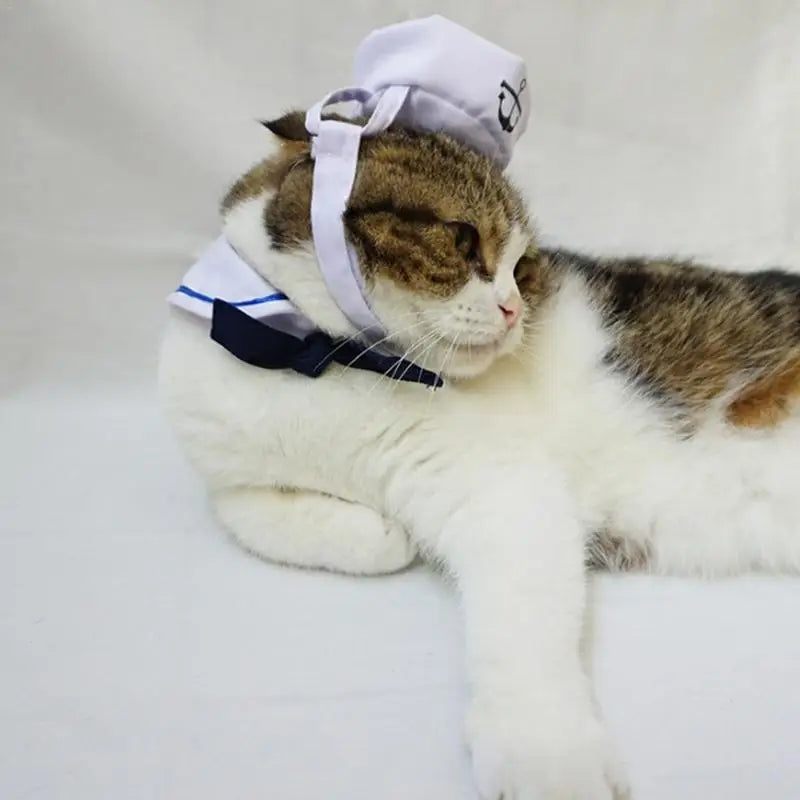 Sailor pet costume