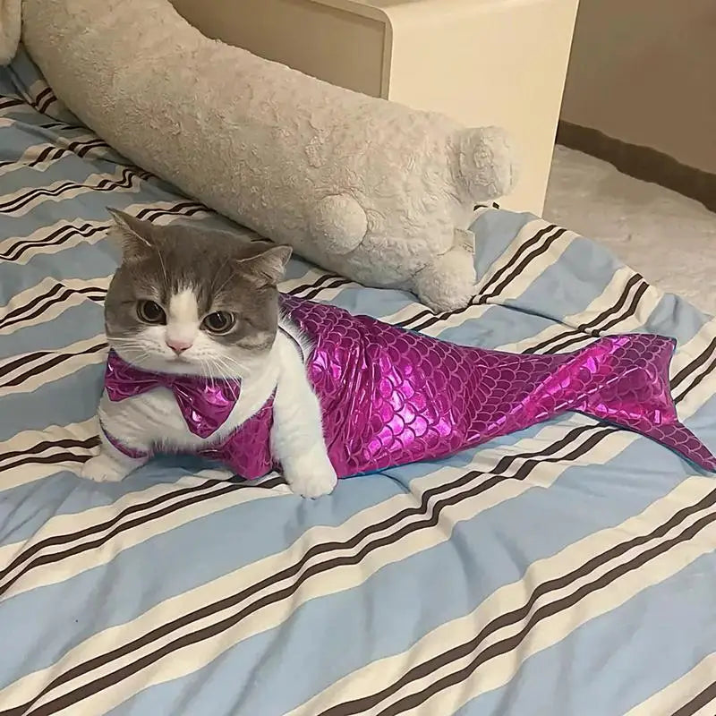 Mermaid Pet Costume