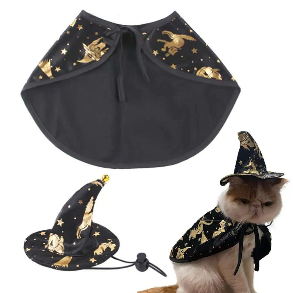 pet Wizard Costume