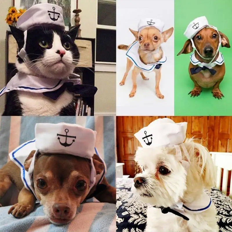 Sailor pet costume