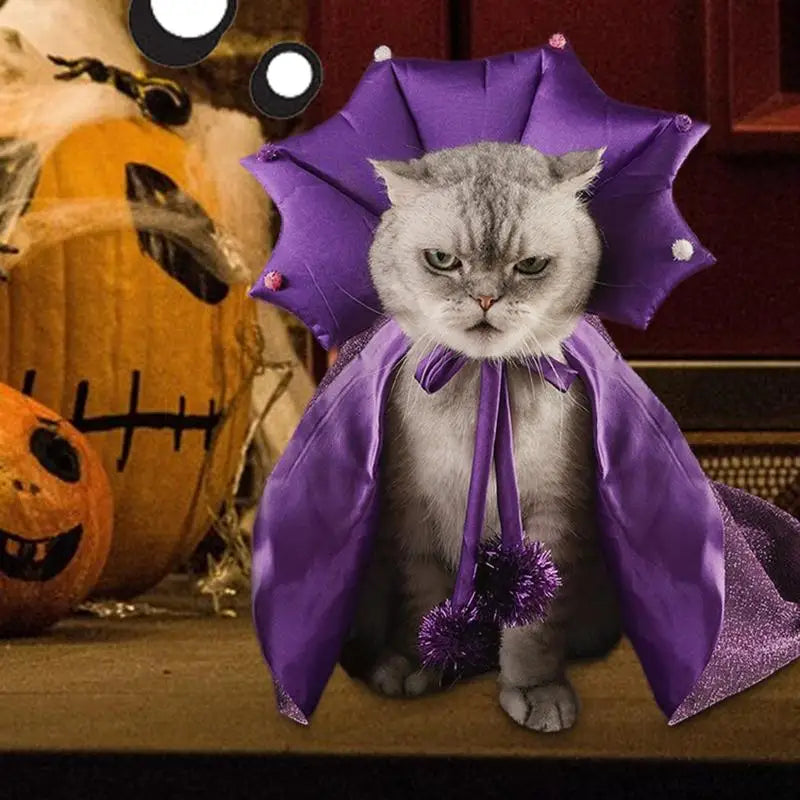 Witch pet Costumes