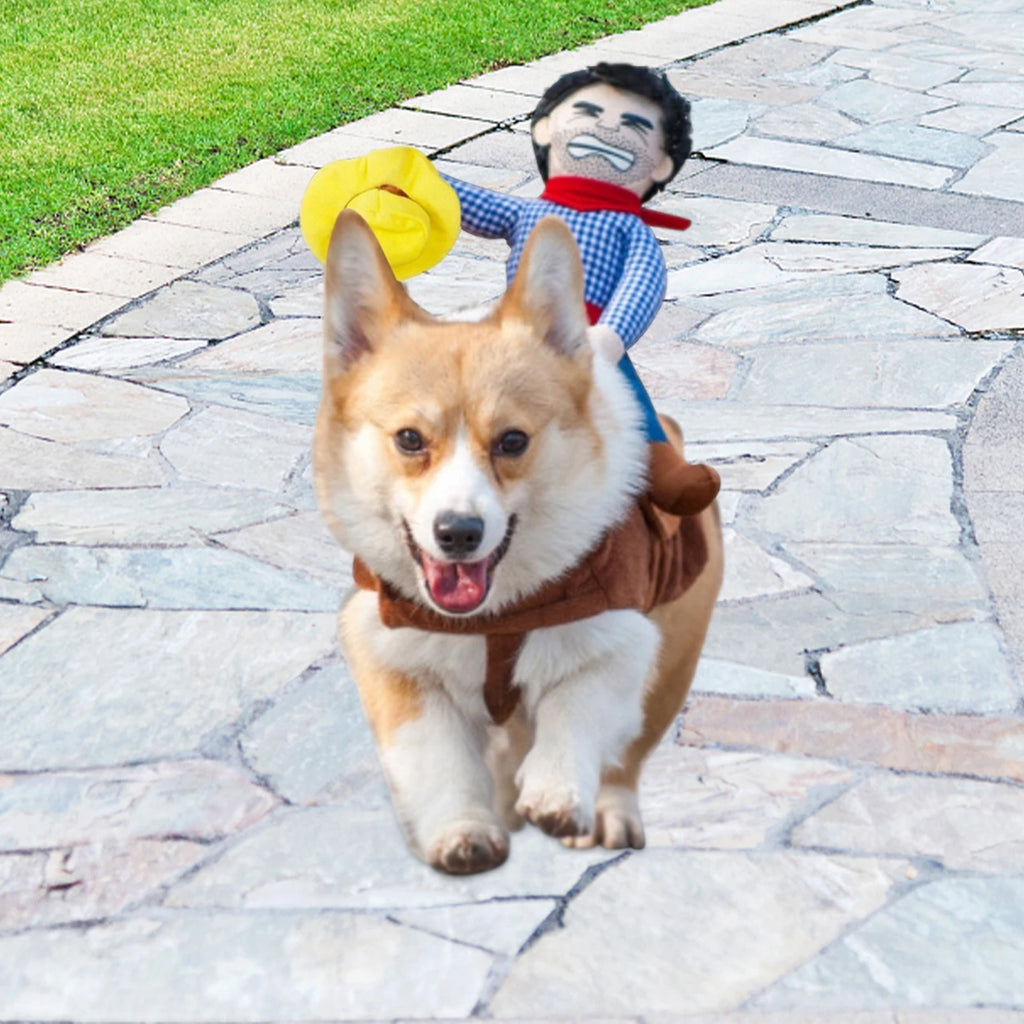 Dog Cowboy pet Outfit