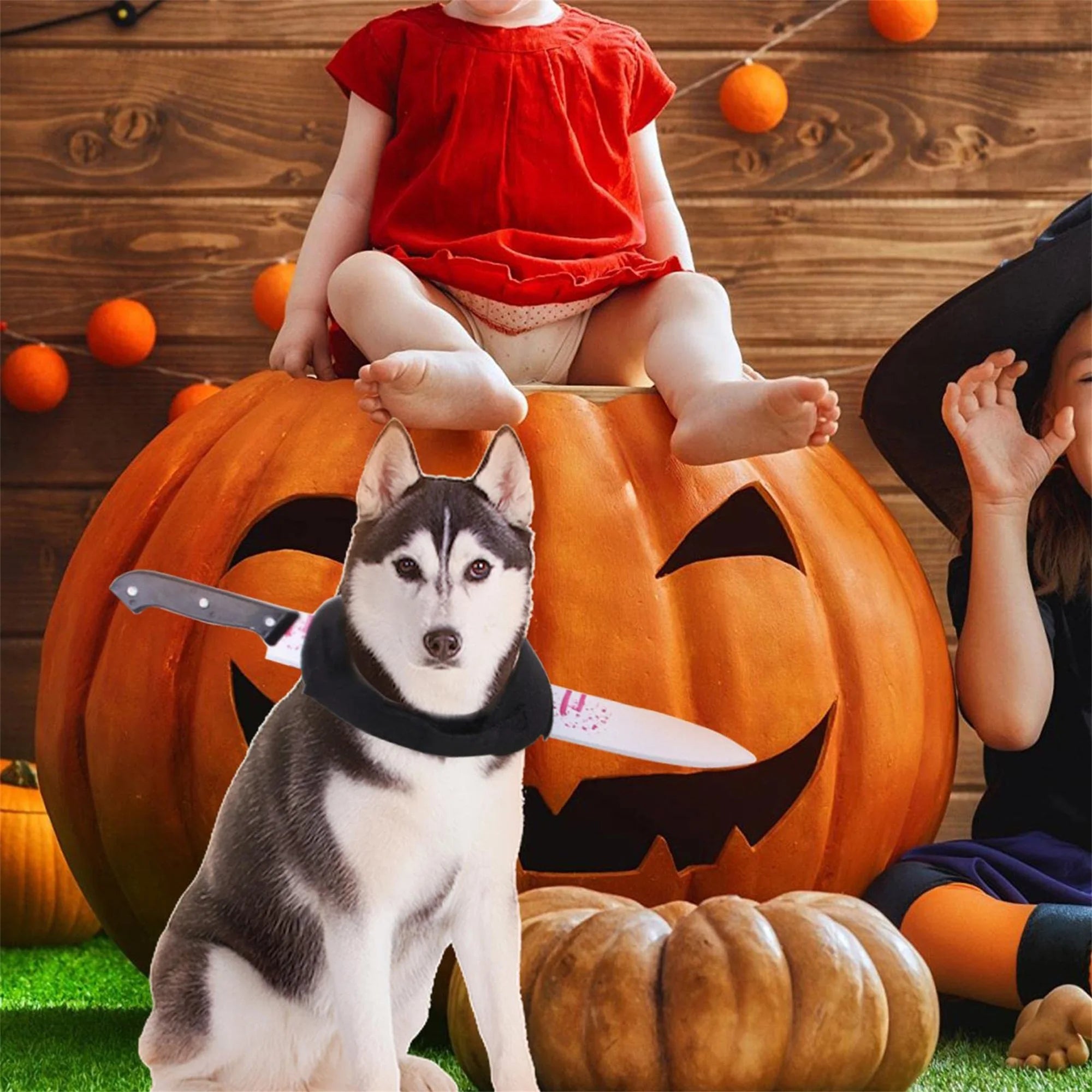 Butcher pet Costume