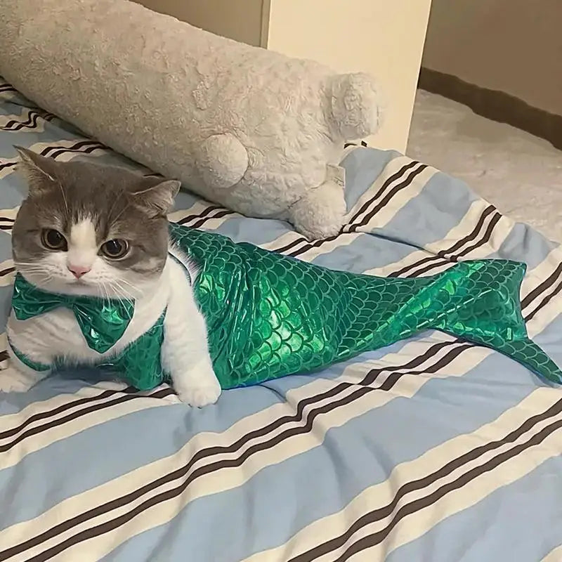 Mermaid Pet Costume