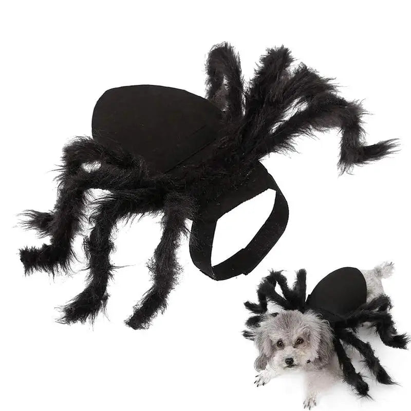 Spider pet Costume