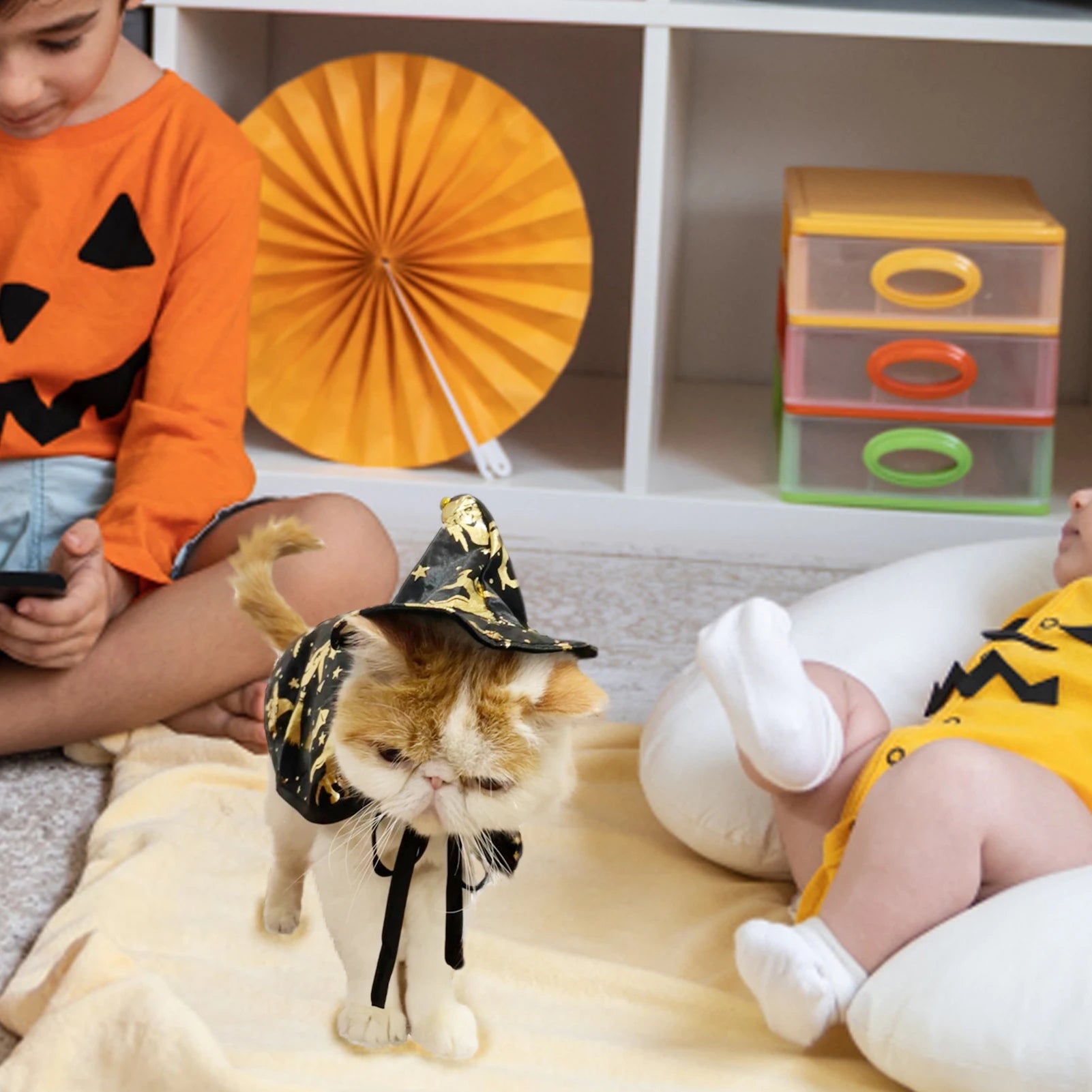 pet Wizard Costume