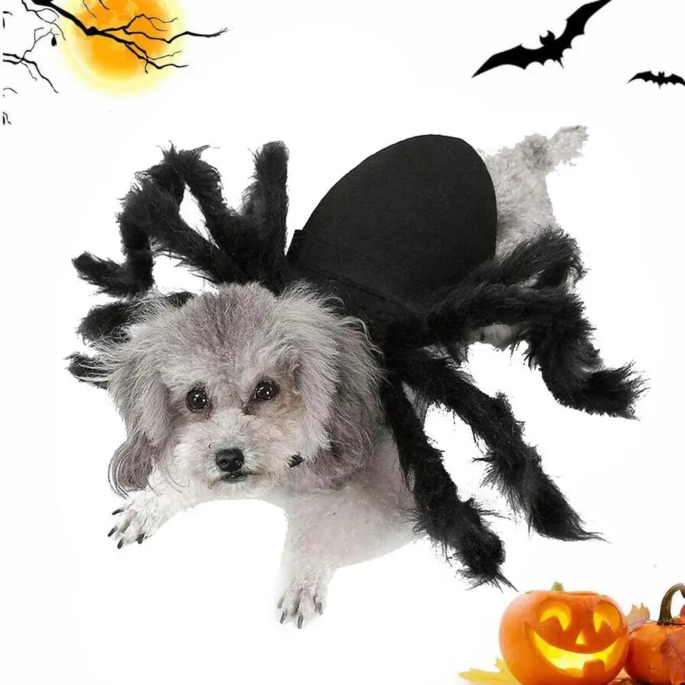 Spider pet Costume