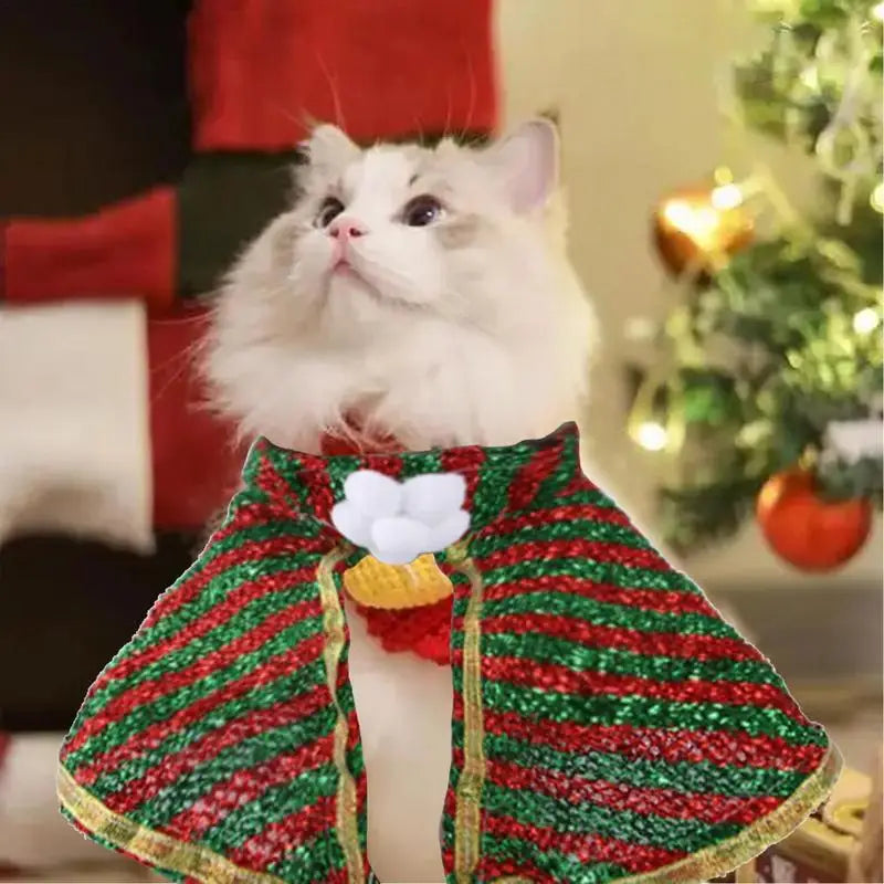 Christmas elf pet Outfit