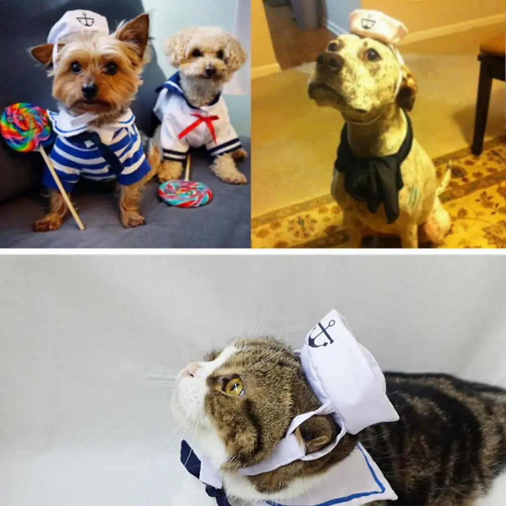 Sailor pet costume