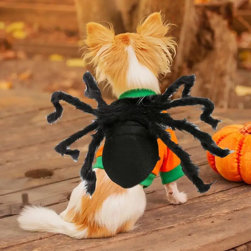 Spider pet Costume