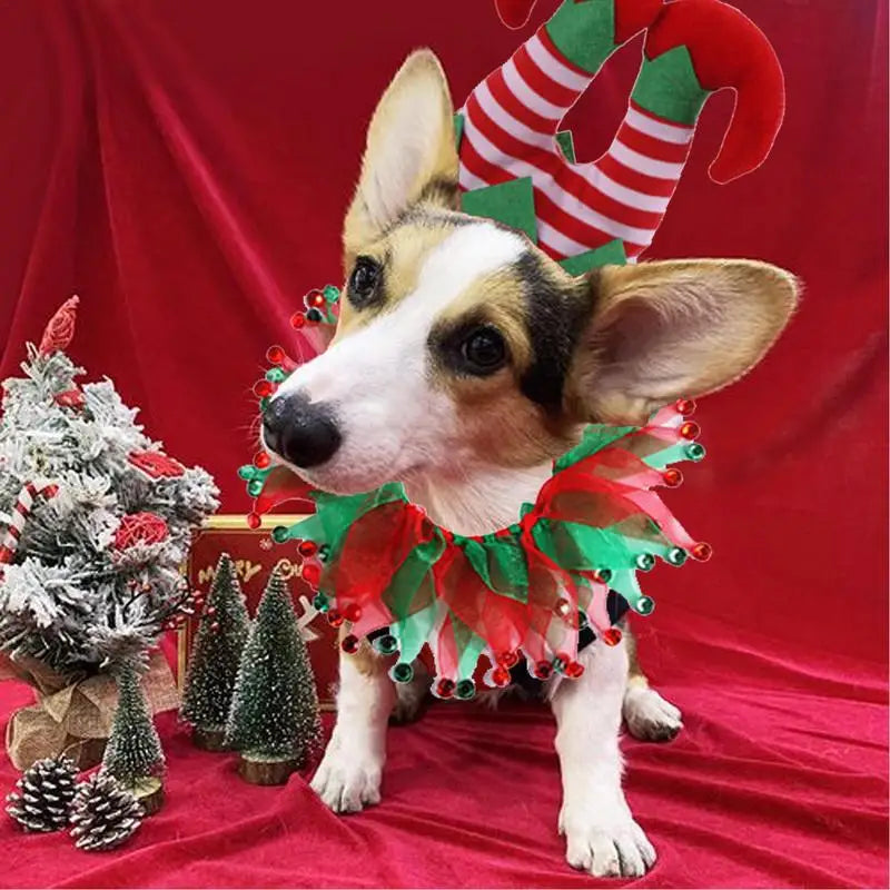 Christmas elf pet Outfit