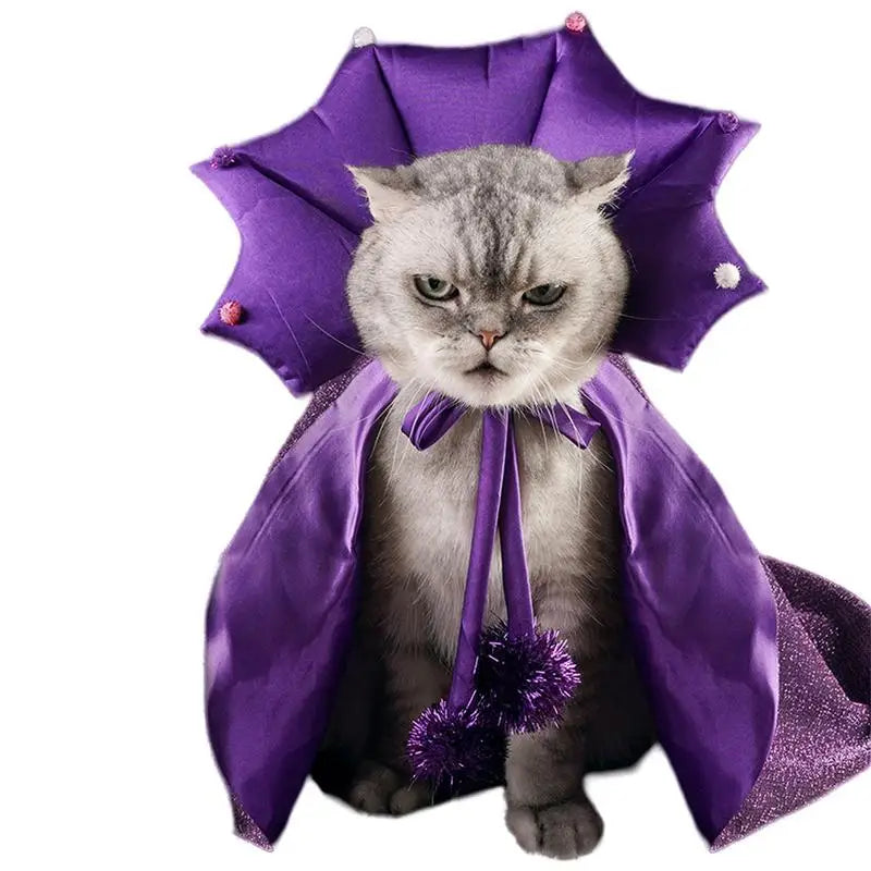 Witch pet Costumes