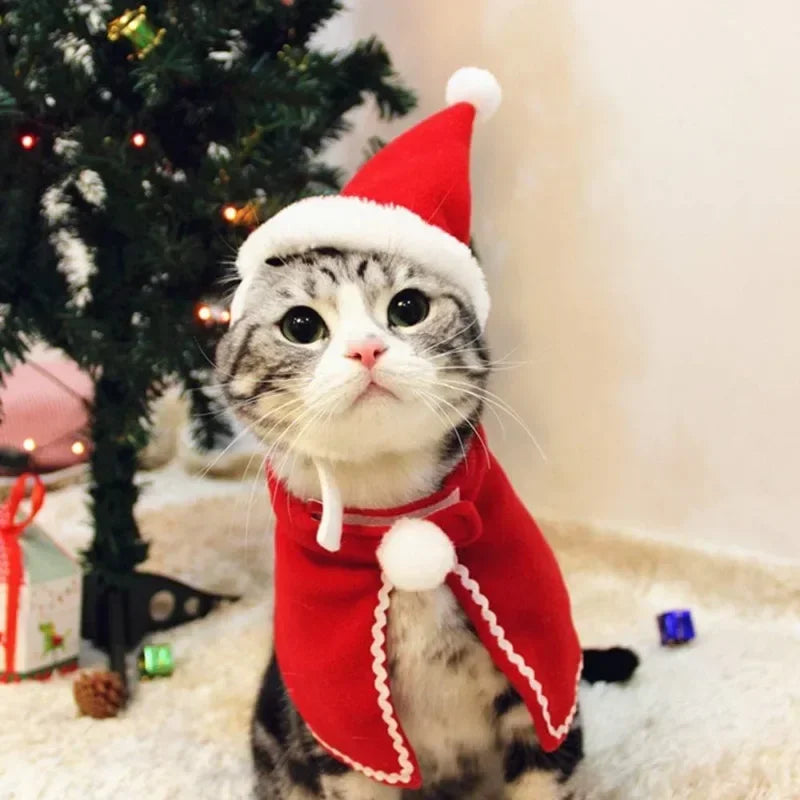 Christmas Pet Cloak