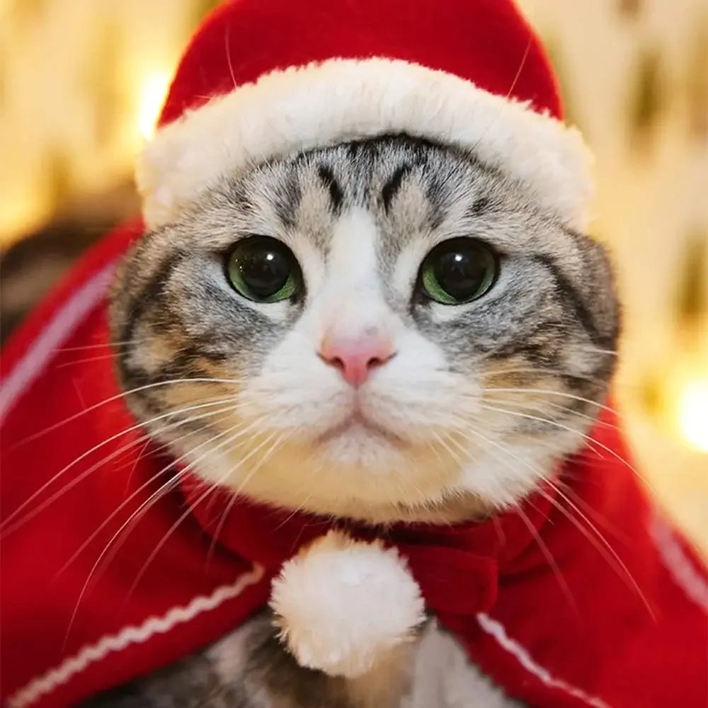 Christmas Pet Cloak
