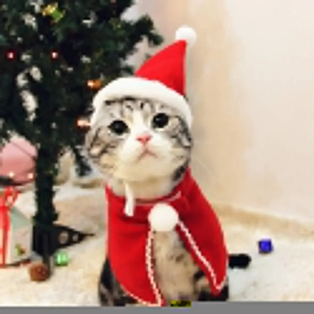 Christmas Pet Cloak