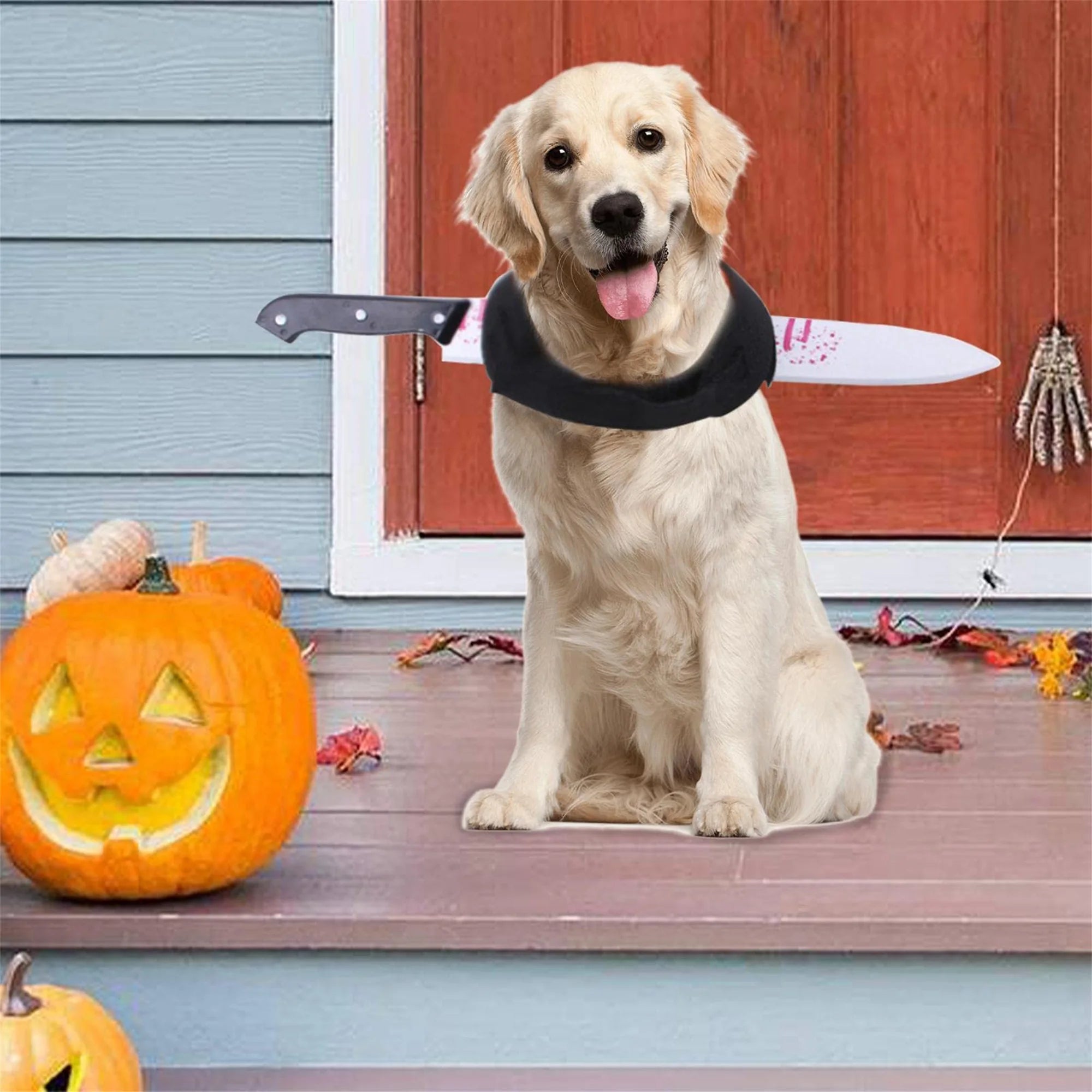 Butcher pet Costume