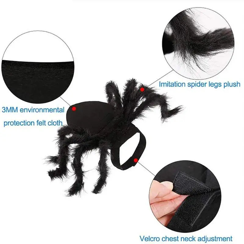 Spider pet Costume