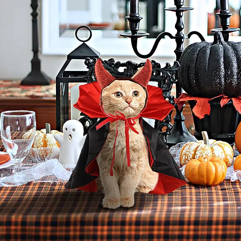 Vampire pet Cloak