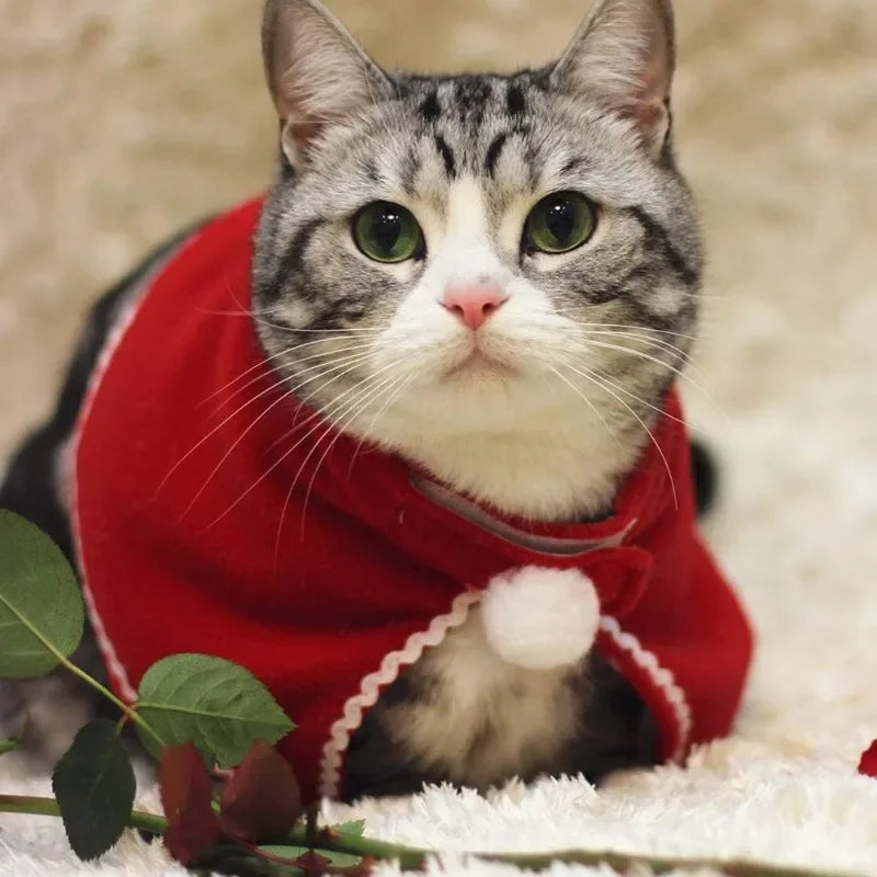 Christmas Pet Cloak