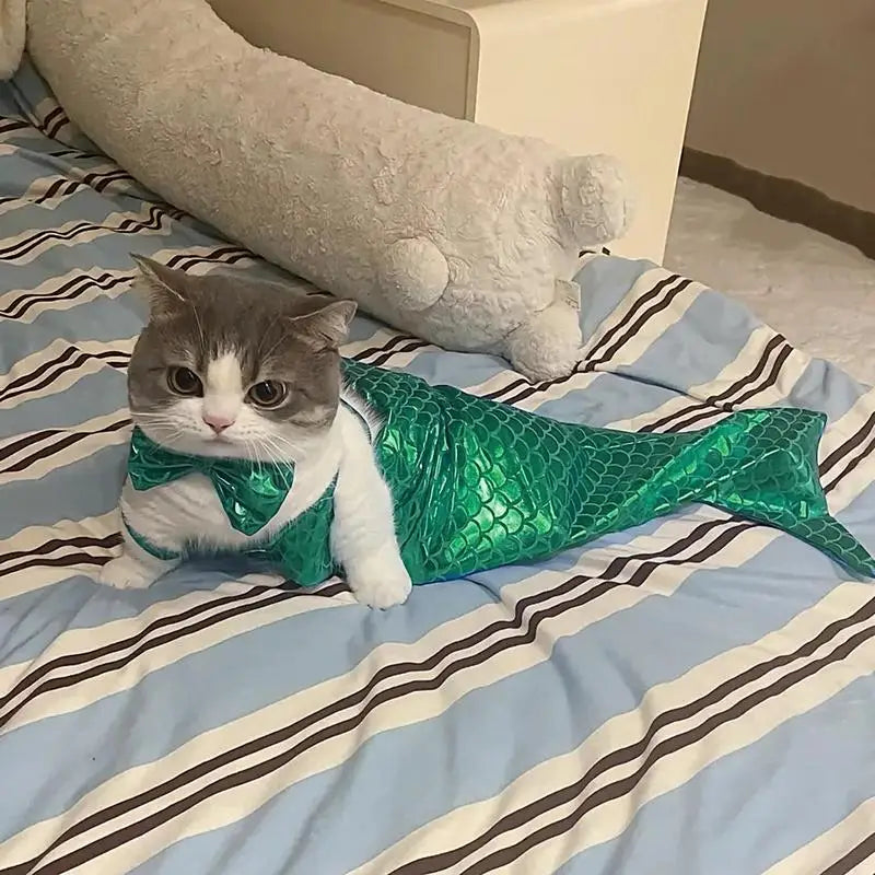 Mermaid Pet Costume