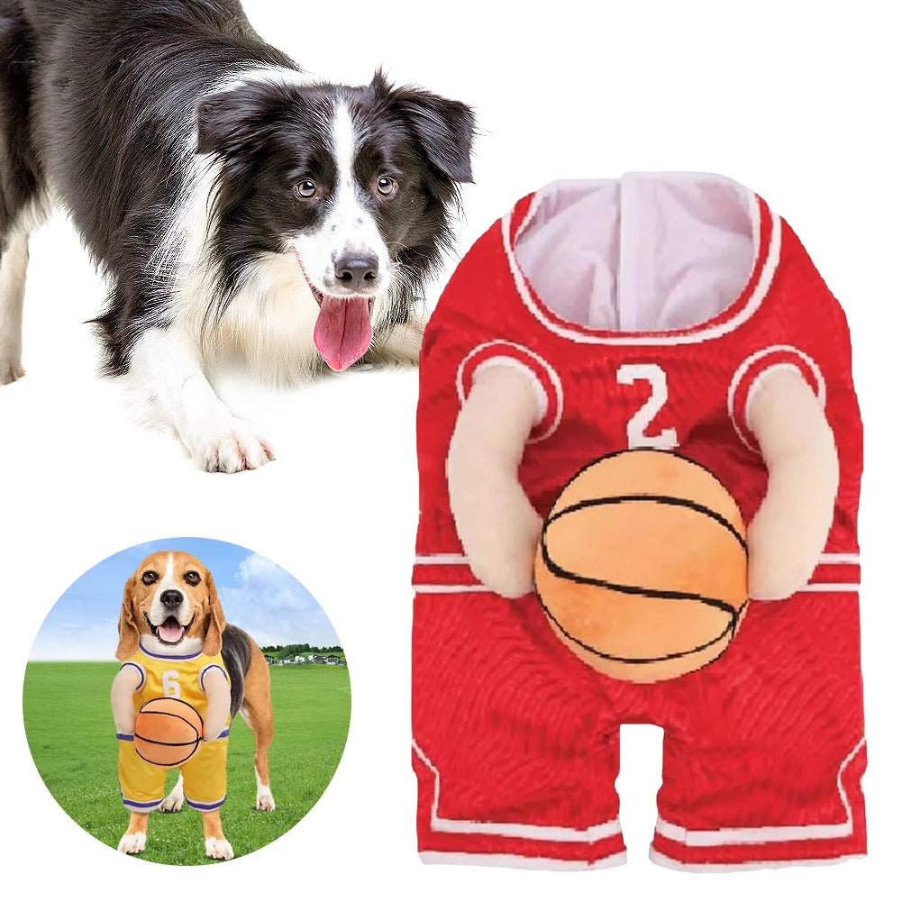 Basketball pet Costume