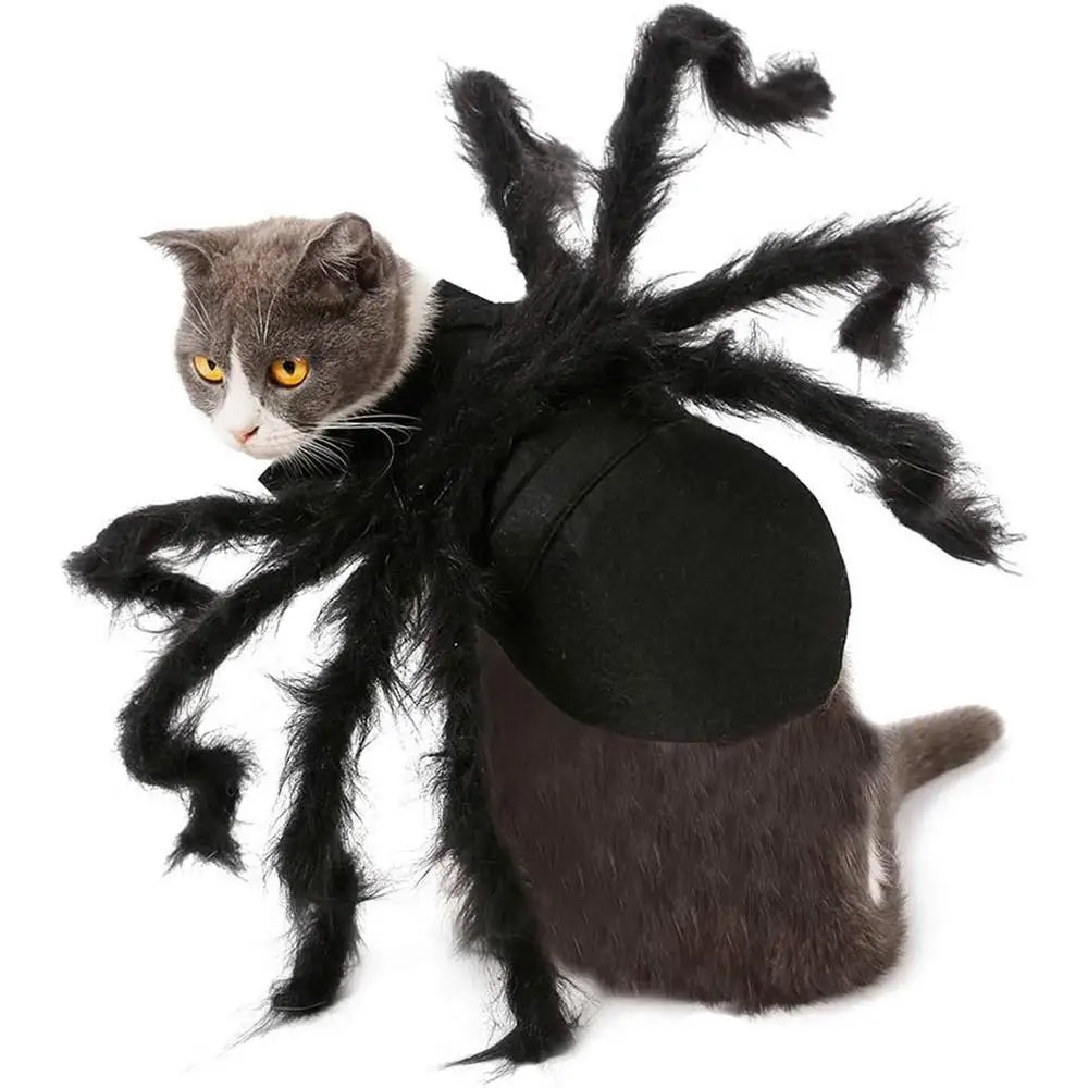 Spider pet Costume
