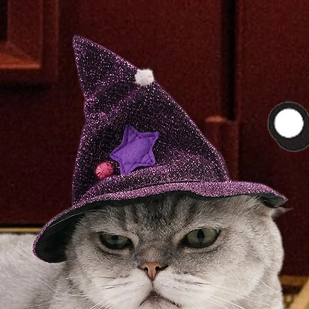 Witch pet Costumes