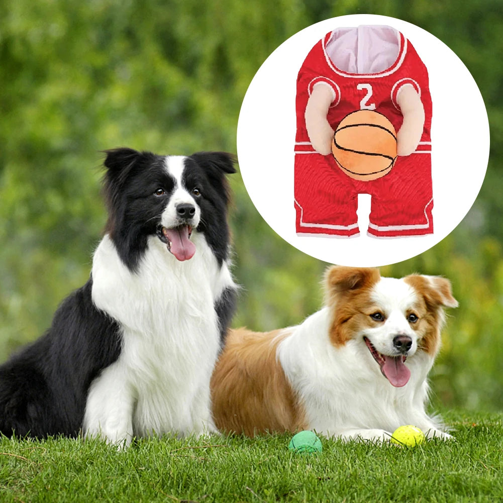 Basketball pet Costume