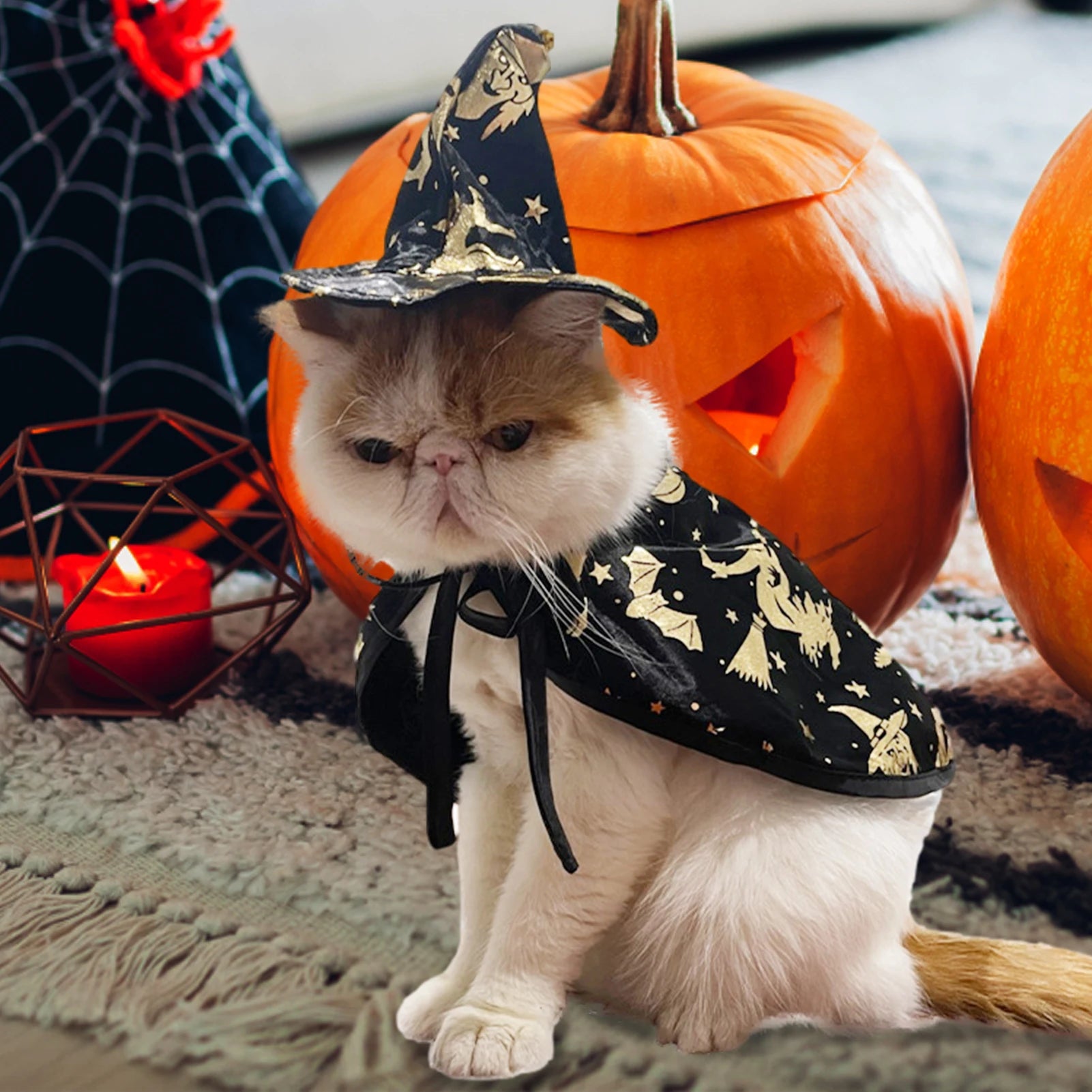 pet Wizard Costume