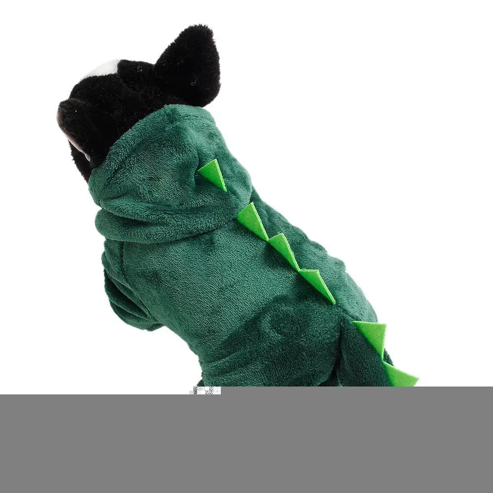 Dinosaur pet Costume