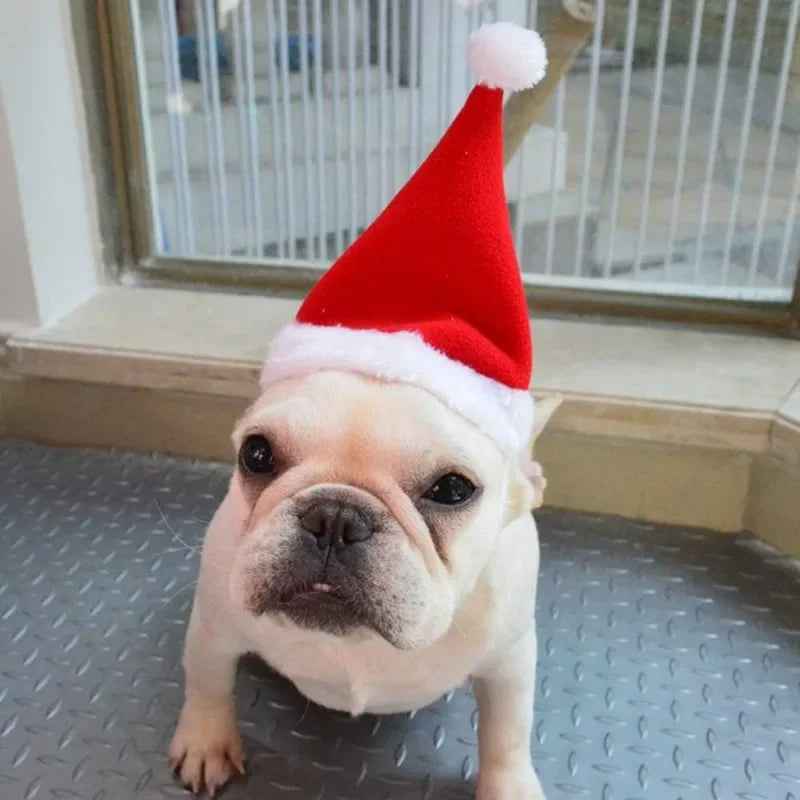 Christmas Pet Cloak