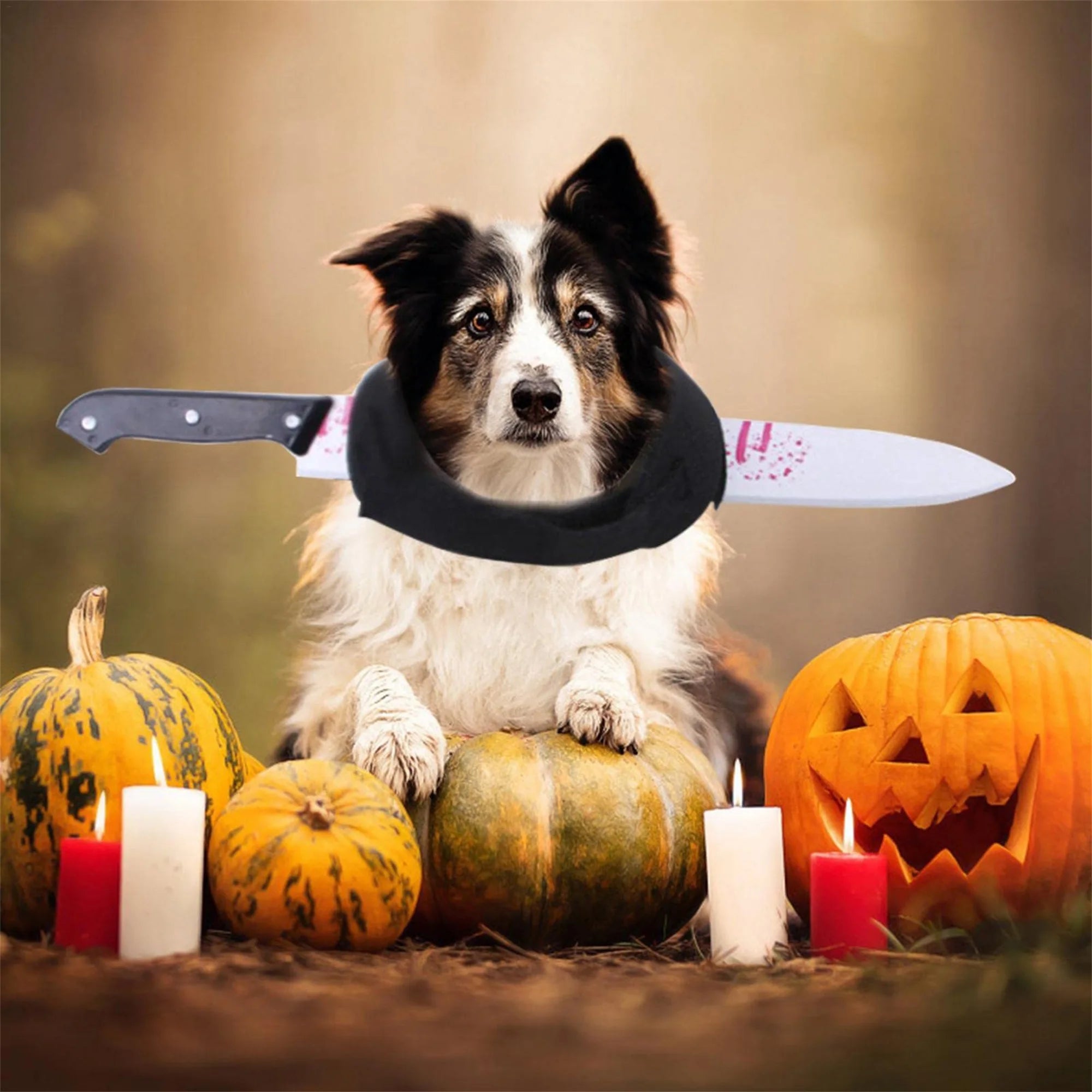 Butcher pet Costume