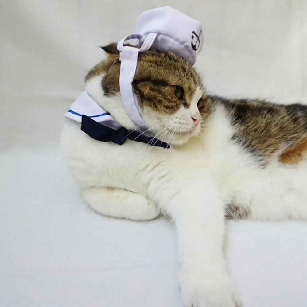 Sailor pet costume