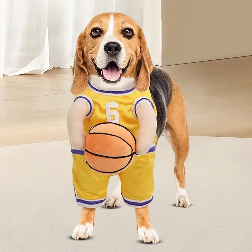 Basketball pet Costume